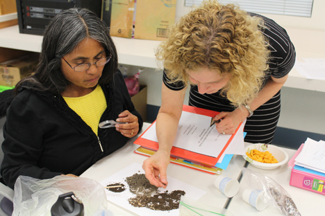 Student instructor investigates soil samples with help from course facilitator.